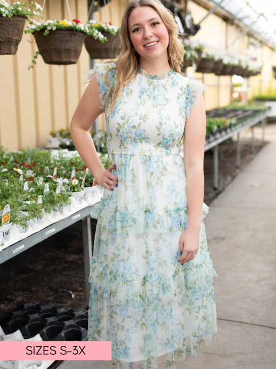 Alexia Cream Blue Floral Mesh Dress