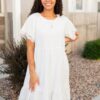 Ada Ivory Eyelet Sleeve Dress