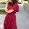 Alana Burgundy Textured Tie Dress
