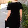 Alexa Black Velvet Dress