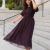 Alyanna Plum Embroidered Dress