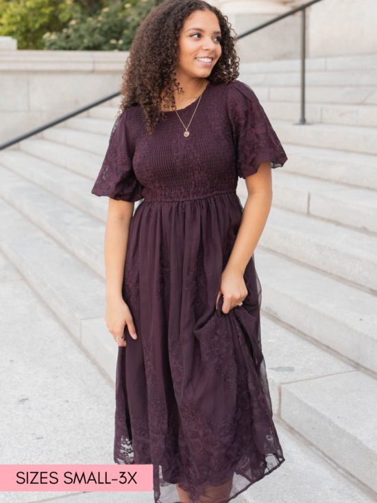 Alyanna Plum Embroidered Dress