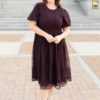 Alyanna Plum Embroidered Dress