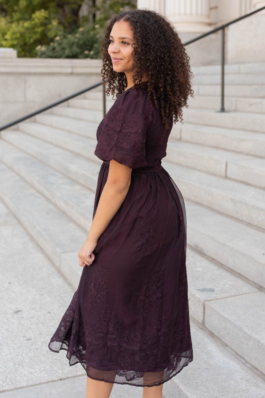 Alyanna Plum Embroidered Dress