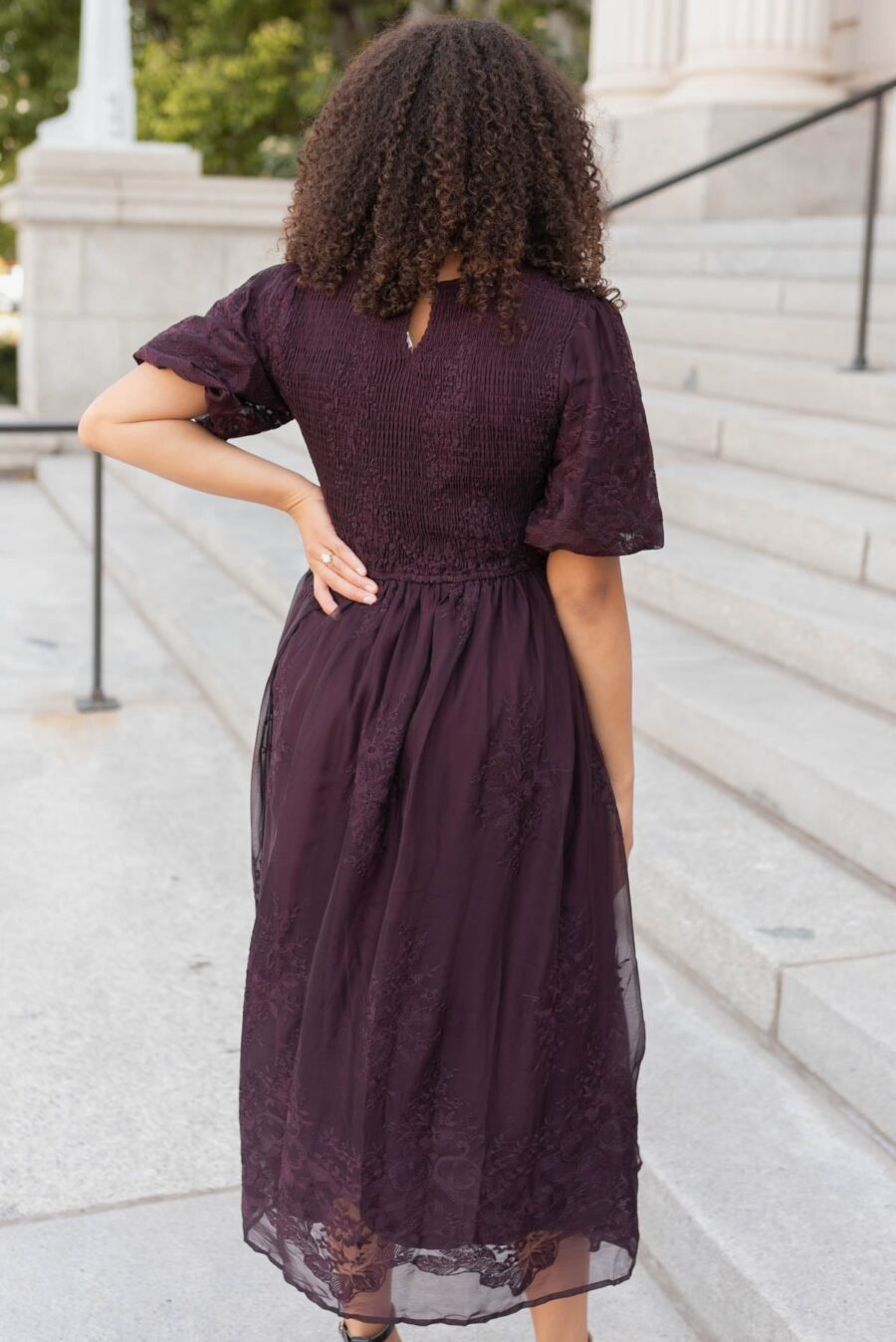 Alyanna Plum Embroidered Dress