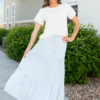 Anita Blue Pinstripe Skirt