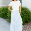 Anita Blue Pinstripe Skirt