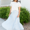 Anita Blue Pinstripe Skirt