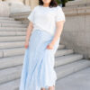 Anita Blue Pinstripe Skirt