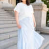 Anita Blue Pinstripe Skirt