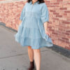 Anna Chambray Tiered Dress