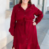 Anne Burgundy Button Up Dress