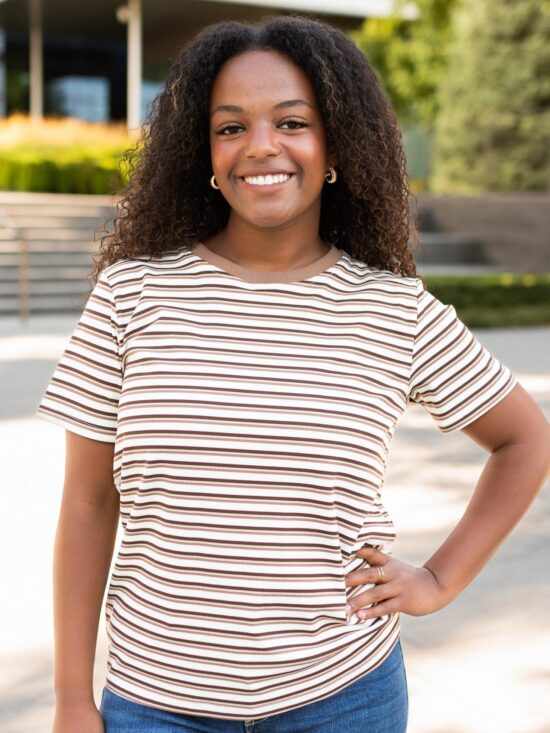 Aspen Brown Striped Top