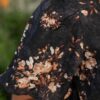 Bianca Black Floral Dress