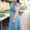 Billie Chambray Smocked Dress