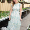 Alexia Cream Blue Floral Mesh Dress
