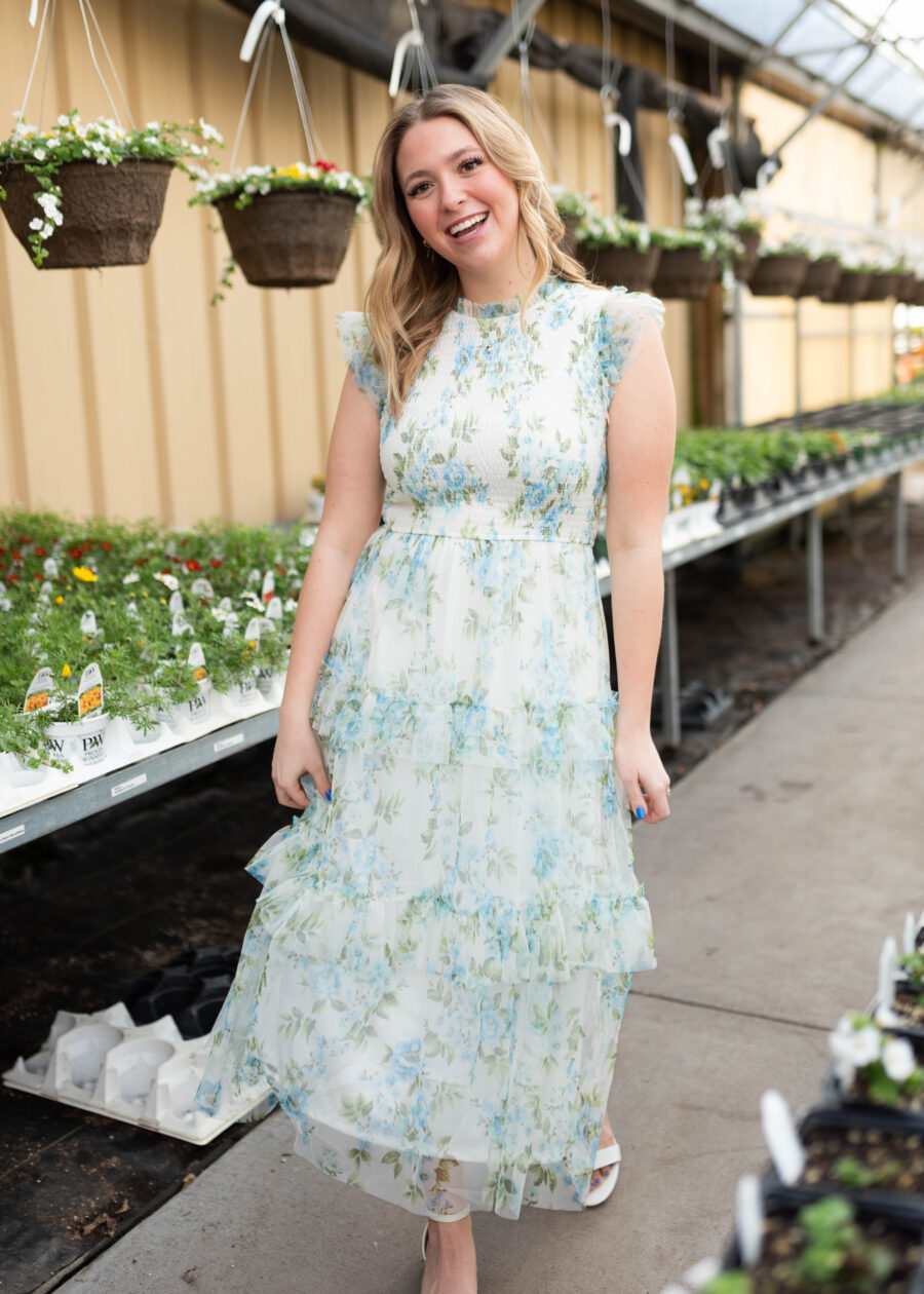 Alexia Cream Blue Floral Mesh Dress