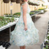 Alexia Cream Blue Floral Mesh Dress