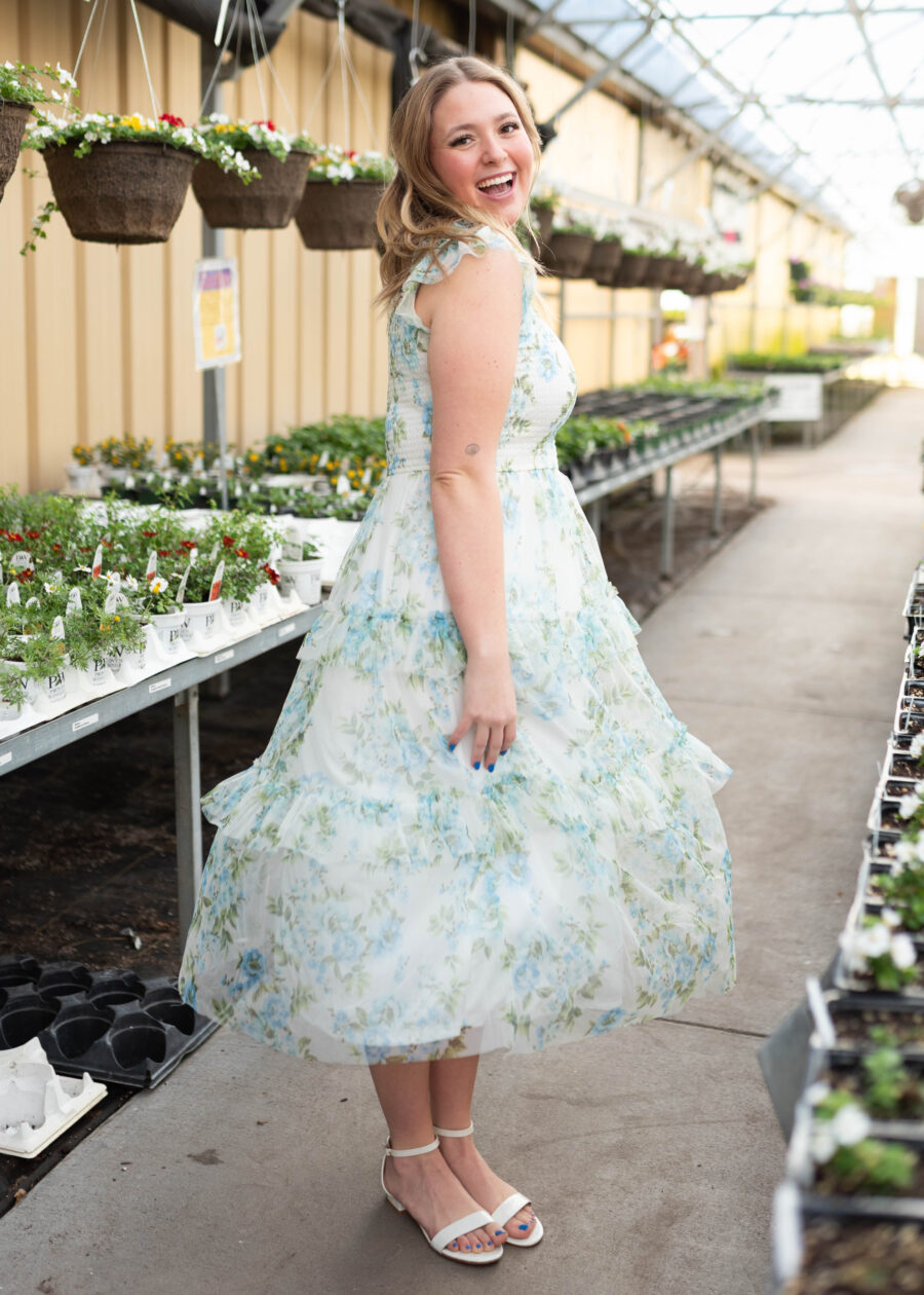 Alexia Cream Blue Floral Mesh Dress