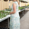 Alexia Cream Blue Floral Mesh Dress