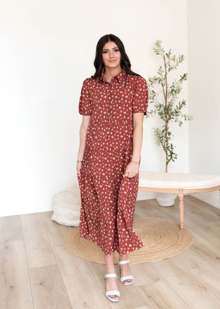 Phoebe Terracotta Collared Dress