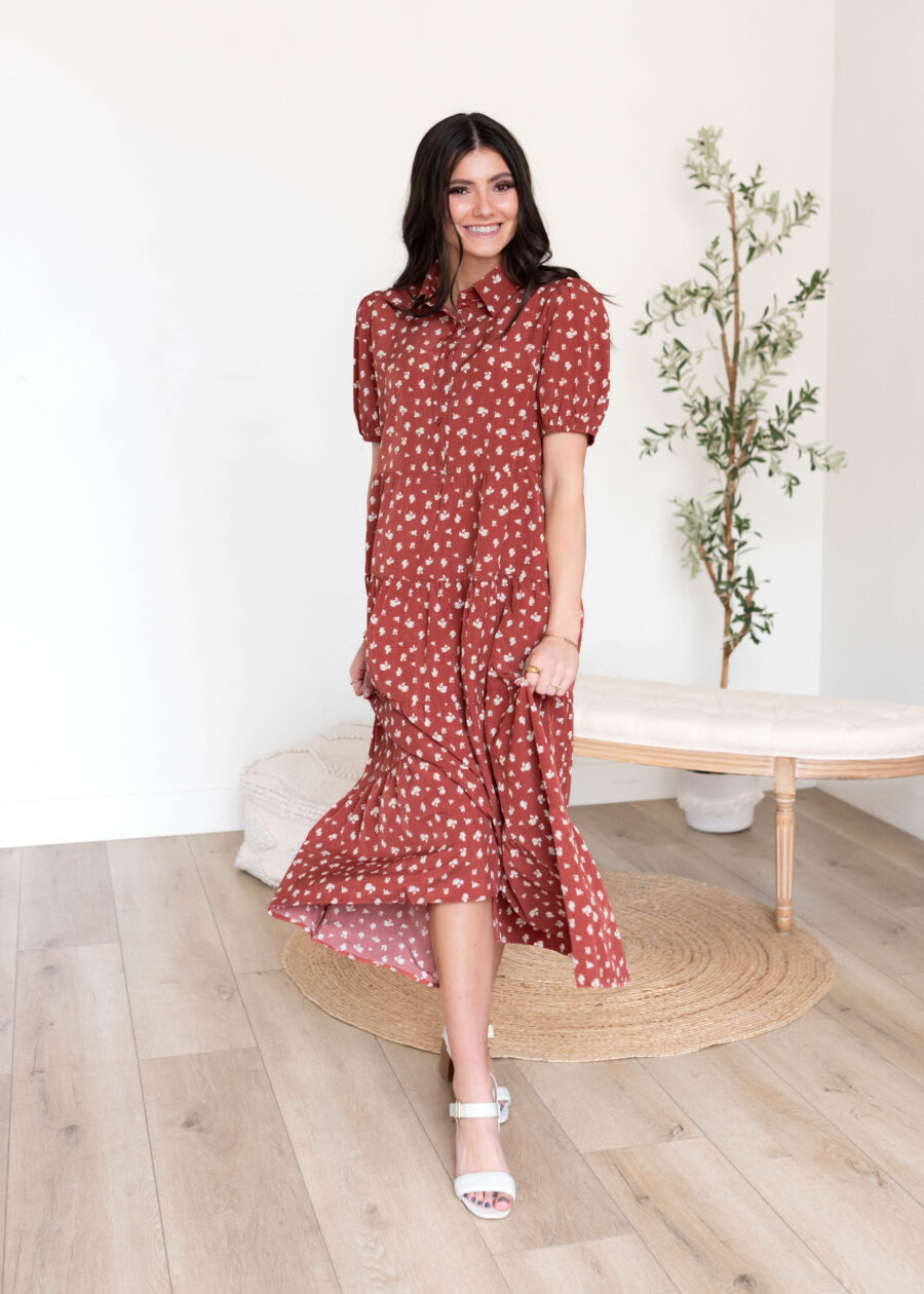 Phoebe Terracotta Collared Dress