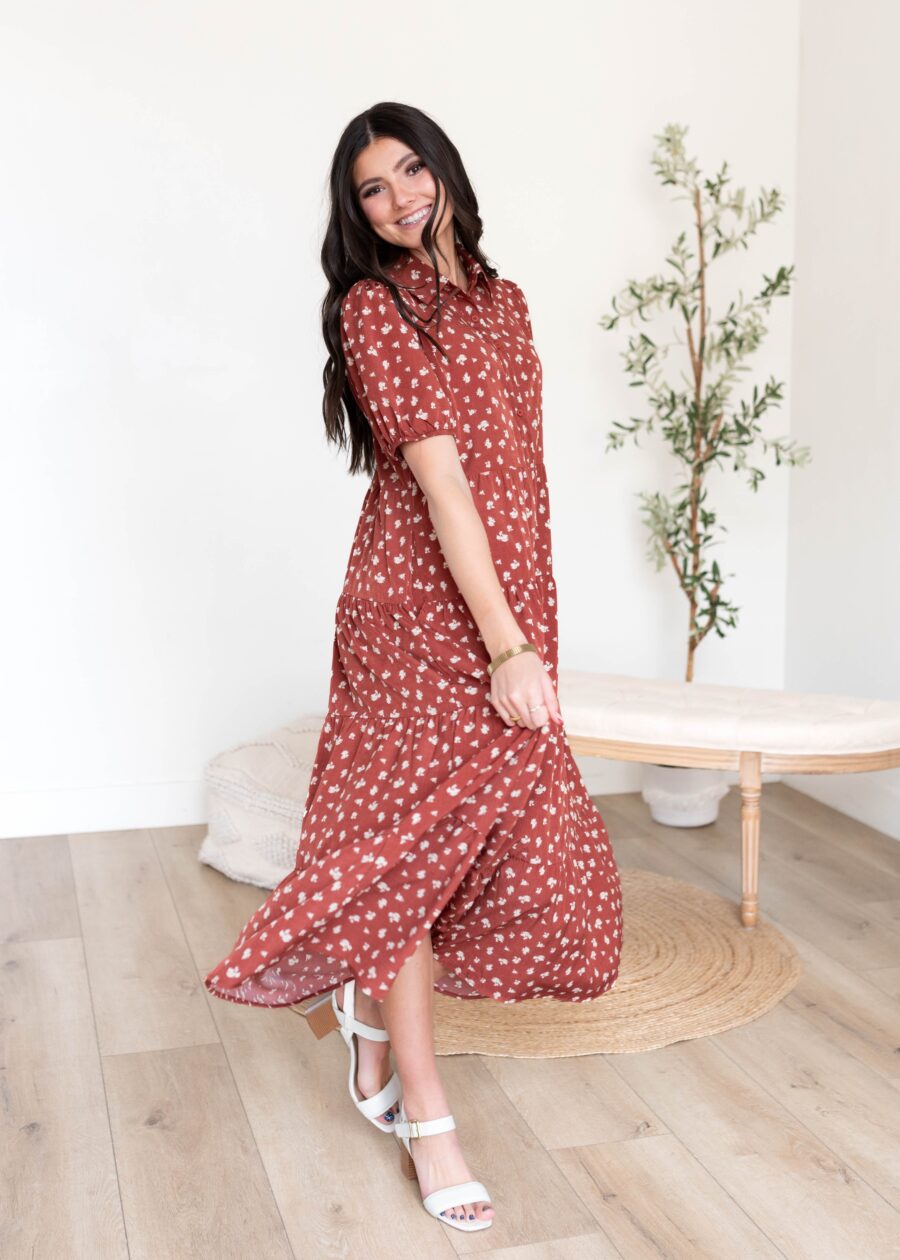 Phoebe Terracotta Collared Dress