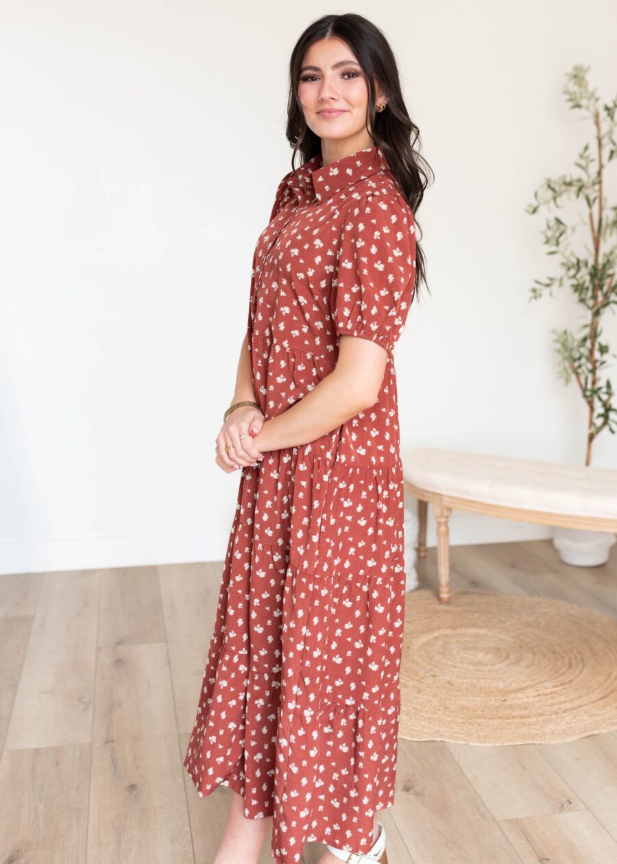 Phoebe Terracotta Collared Dress