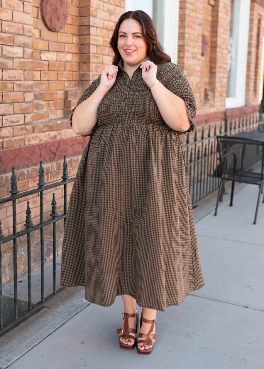 Mira Brown Gingham Dress