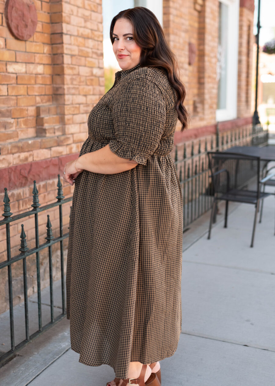 Mira Brown Gingham Dress
