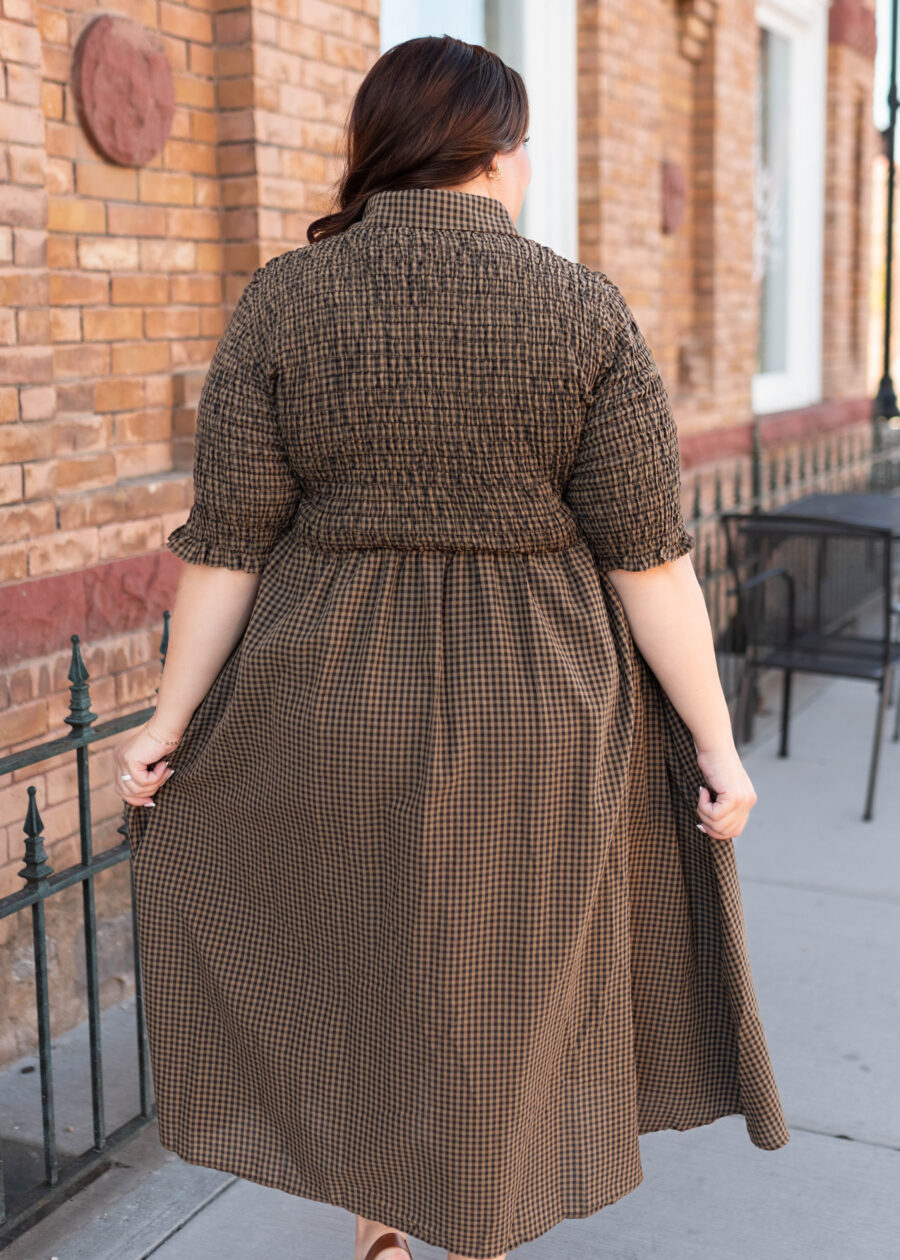 Mira Brown Gingham Dress