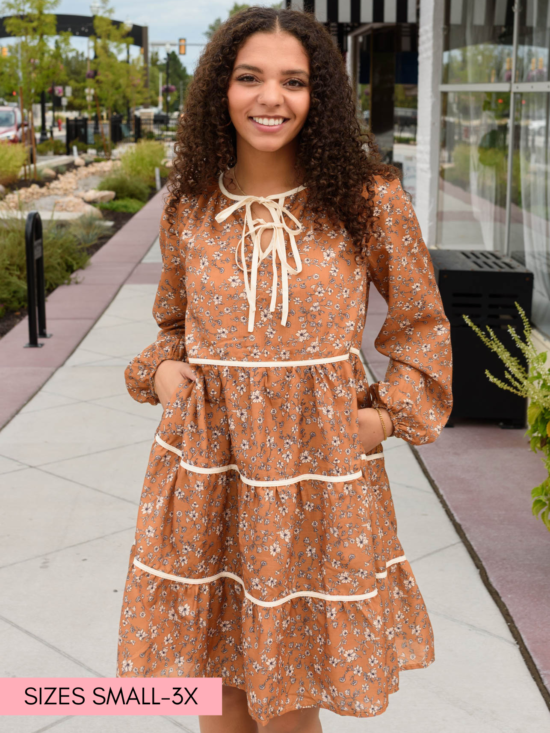 Naomi Ginger Brown Dress