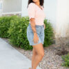 Nicolie Blush Pink Top