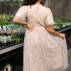 Nylah Blush Floral Mesh Dress