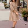 Penelope Brown Gingham Dress