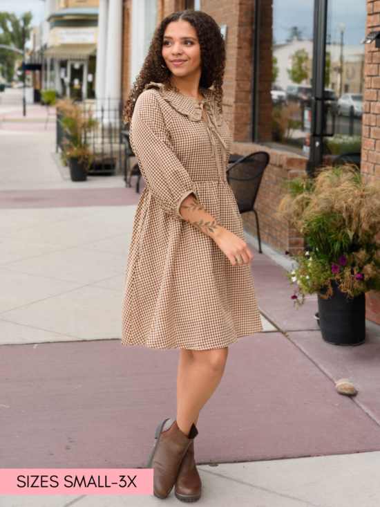 Penelope Brown Gingham Dress