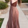 Reannah Dusty Rose Velvet Dress