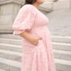 Robin Blush Floral Textured Dress