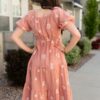 Rosie Terracotta Embroidered Dress