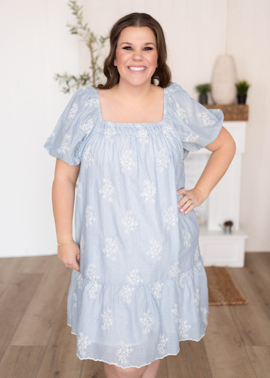 Sammy Light Blue Embroidered Dress