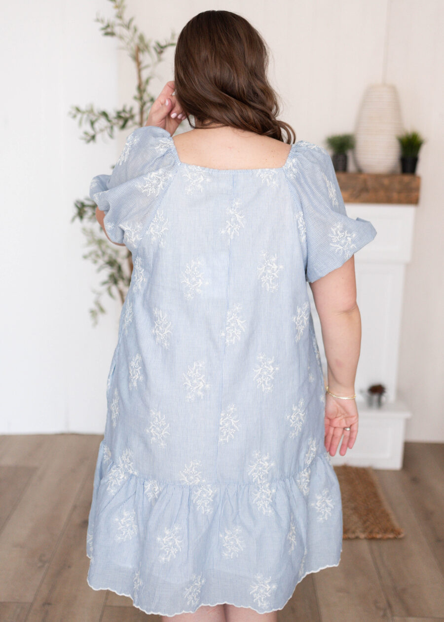 Sammy Light Blue Embroidered Dress