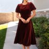 Serenity Copper Velvet Dress