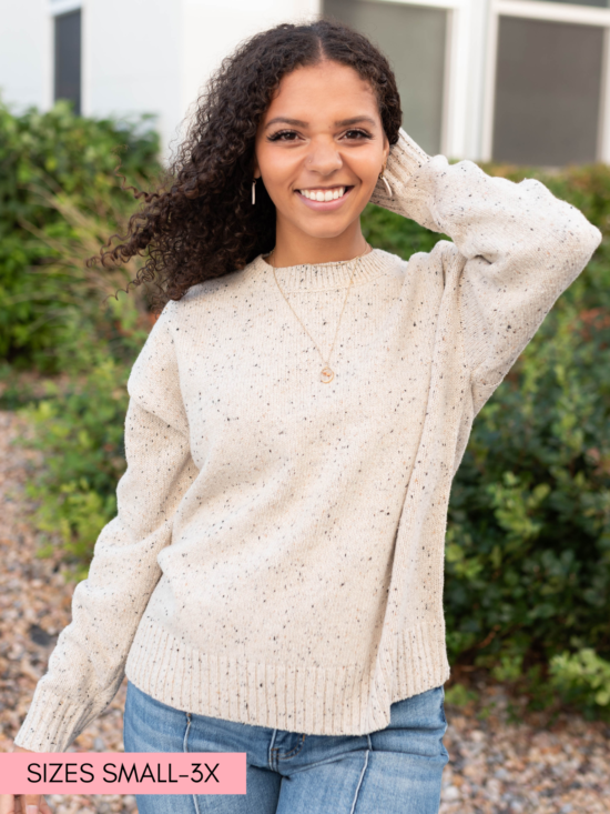 Spencer Speckled Taupe Knit Sweater