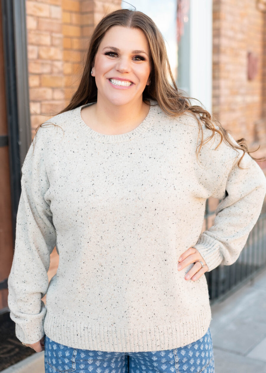 Spencer Speckled Taupe Knit Sweater
