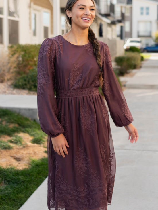 Tiana Dusty Plum Embroidred Chiffon Dress