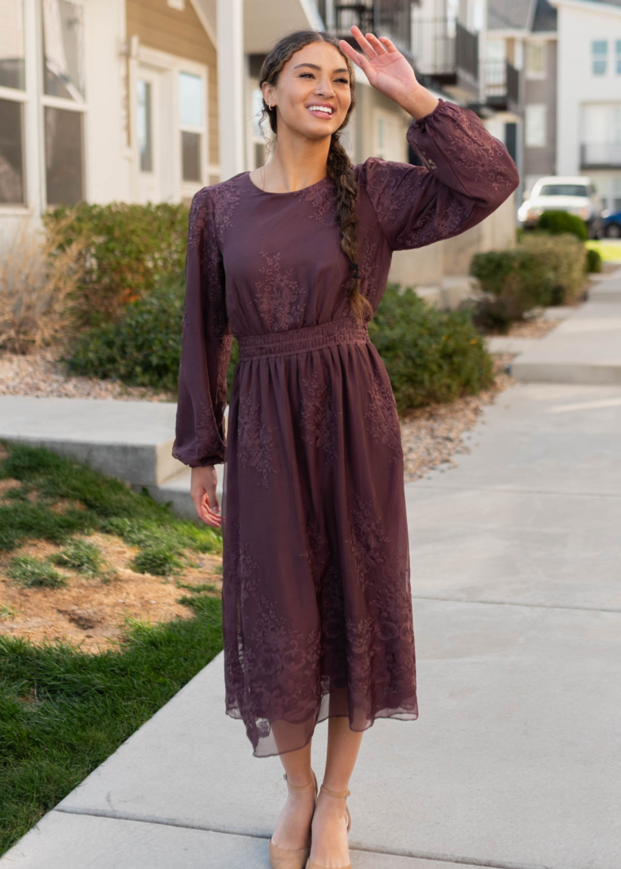 Tiana Dusty Plum Embroidred Chiffon Dress