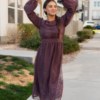 Tiana Dusty Plum Embroidred Chiffon Dress